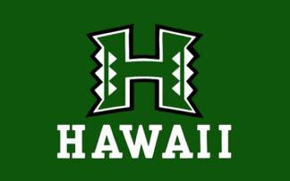 Hawaii flag with bold green background, perfect for patriotic decorations and sporting events, available at El Cheapo Flag Store for quality flags and accessories.